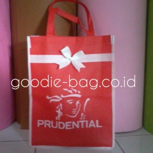 Goodie Bag Prudential