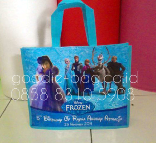 goodie bag frozen pakai foto