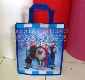 Goodie Bag Birthday Frozen